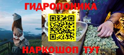 прущие крисы Апшеронск